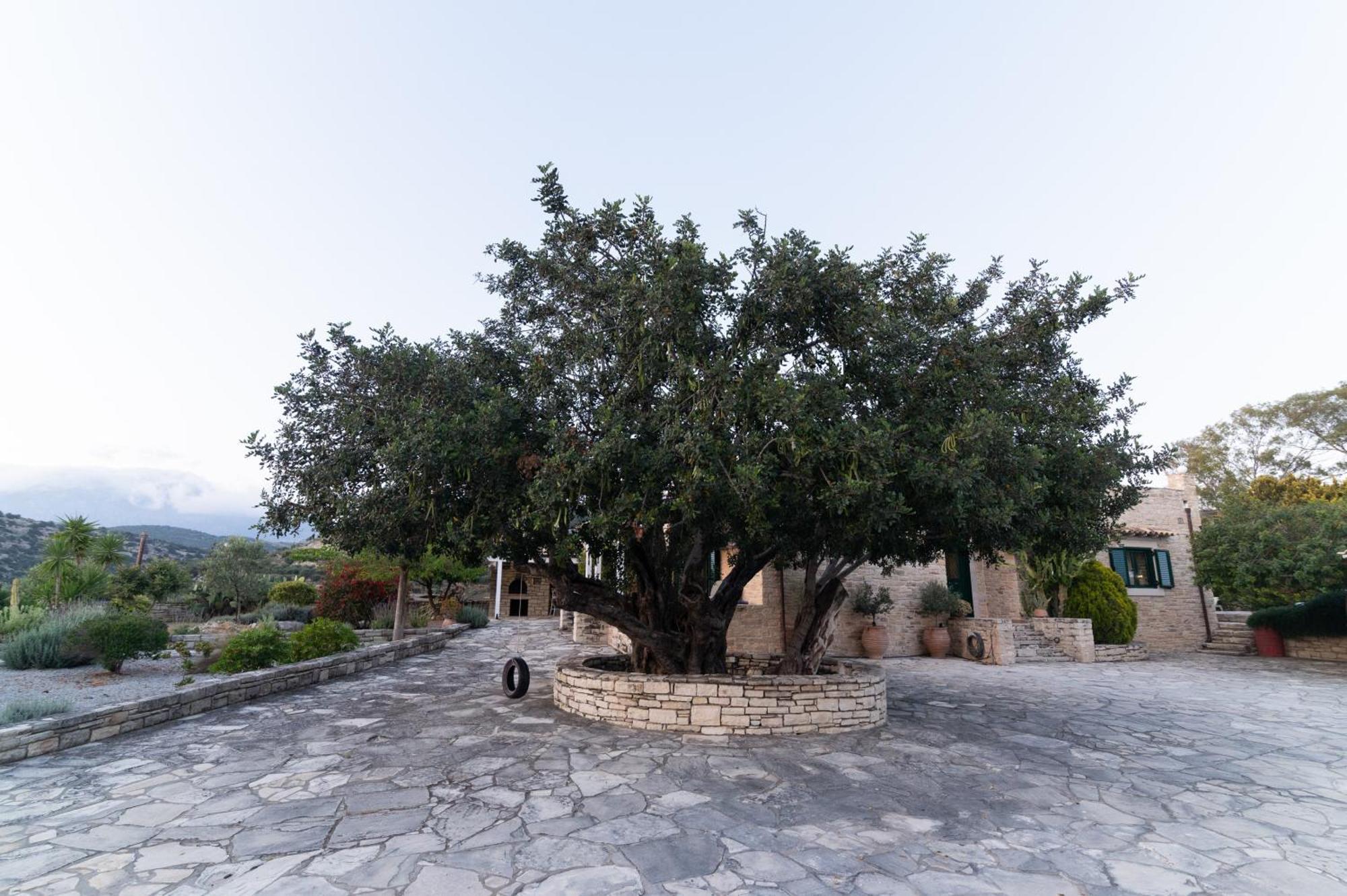 Carob Villa Moírai Esterno foto